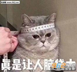  走路嚣张丝毫不慌表情包图片出来挨打表情包下载乐游网游戏下载