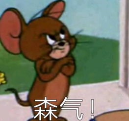  猫和老鼠表情包我命令你现在亲我脸我可是高贵的小公主