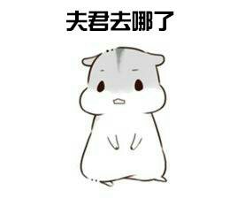  仓鼠夫妻