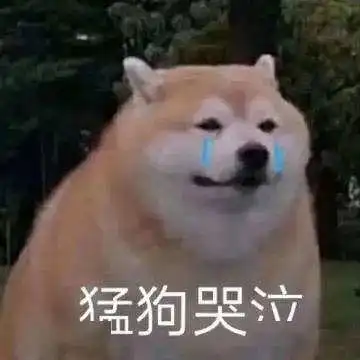 减肥的女孩也太不容易了吧 减肥的女孩也太不容易了吧