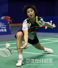 2009中国羽毛球大师赛王琳晋级女单四强 2009中国羽毛球大师赛王琳晋级女单四强