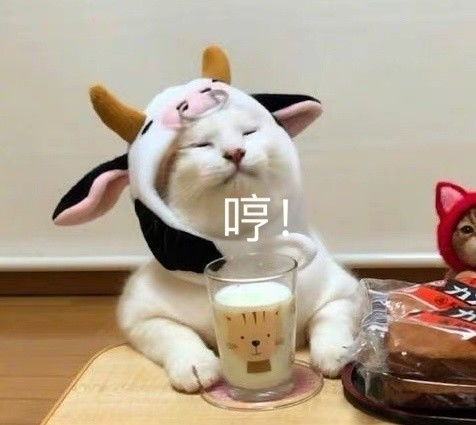 找人的表情包沙雕