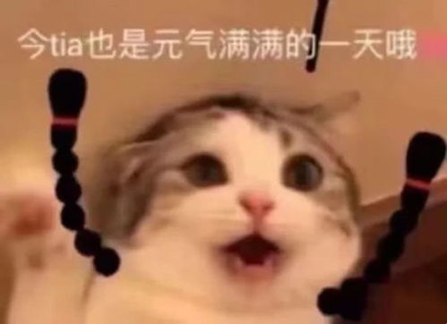  爱的魔力转圈圈,纠察表情来一圈