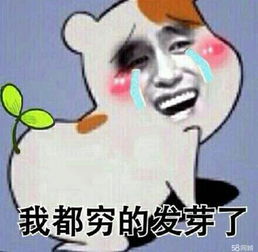  好和哥哥逛街