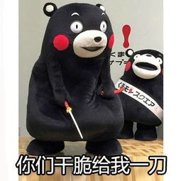  剁手之后的我,真的穷