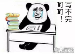  哔哩哔哩专栏