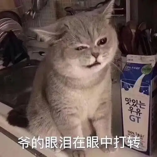 清醒图片表情包表情包