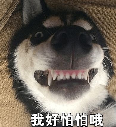  有了它,熬夜看球都不怕