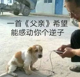 早表情包沙雕每日一笑