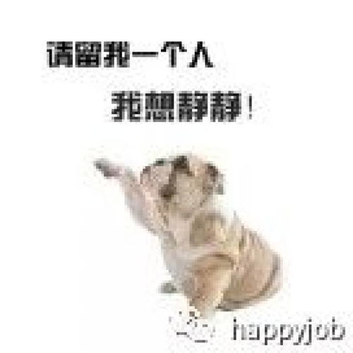  别催了,你们要的表情包这儿呢
