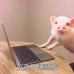 抖音小兔子表情包小女子