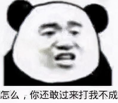  熊猫头表情包别出门了,多喝热水