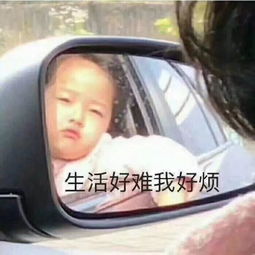  惨成都人十一假期总结报告.doc