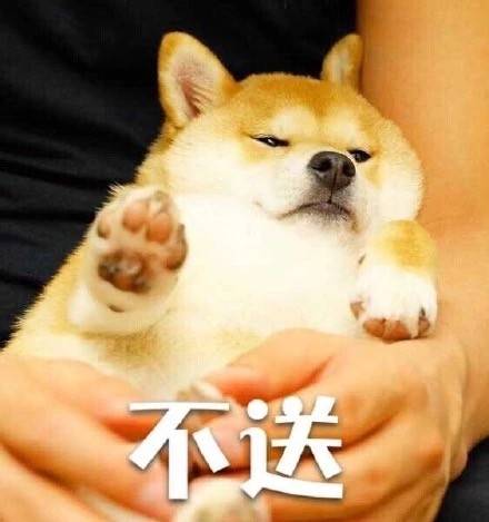 汪星人装逼表情包 汪星人装逼表情包