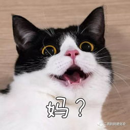  为什么我们要生孩子