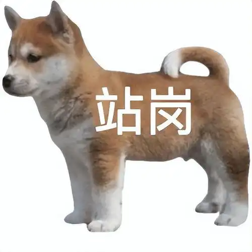 收藏表情包狗狗