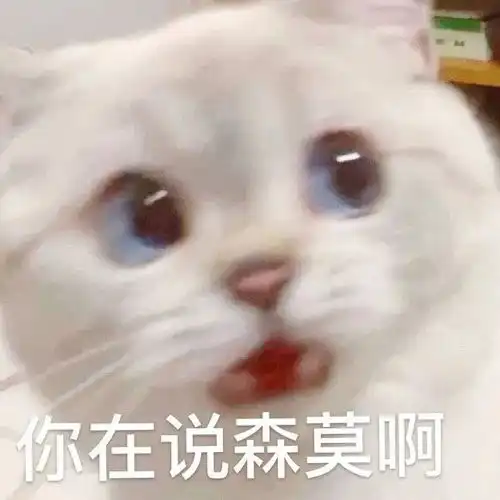 表情包我懂了,我就是你可有可无的网友 表情包我懂了,我就是你可有可无的网友