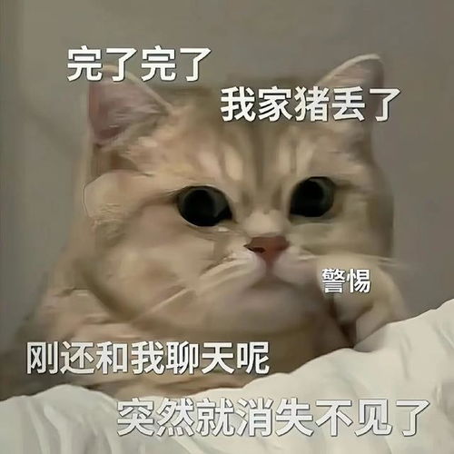  聊天表情日子很美,开心万岁
