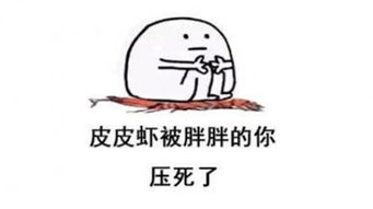 微信表情包是啥意思皮皮