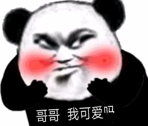  今日份表情包
