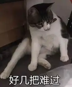  问妈妈要零花钱系列猫咪表情包
