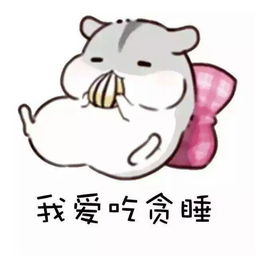 斗图丨仓鼠情侣表情包