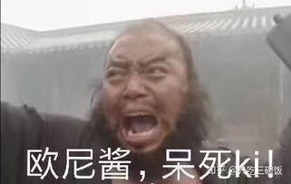 锤子锤人表情包女伴