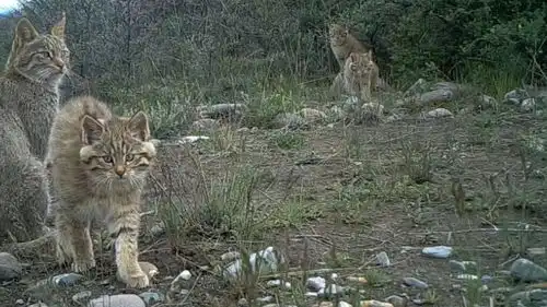 总书记关心的事在那遥远的地方 总书记关心的事在那遥远的地方