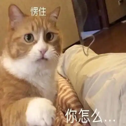 表情包丨试图让自己清醒 表情包丨试图让自己清醒