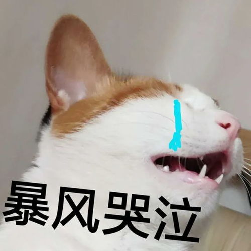  暴雪退场,谁来借力精品射击游戏火力苏打t3我来