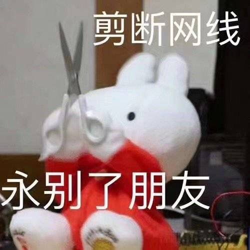  狗狗的舌头是黑色的哈哈哈