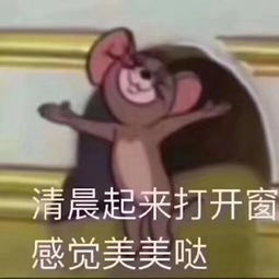  团团团团团视频直播全集团团团团团资料大全yy官方
