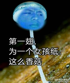  蓝瘦,香菇这个梗刷爆了票圈,最新表情包请收好