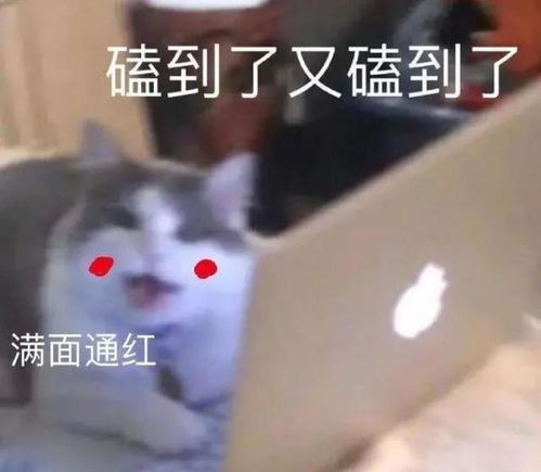  惊呆出轨被抓包,还要为了双胞胎复婚