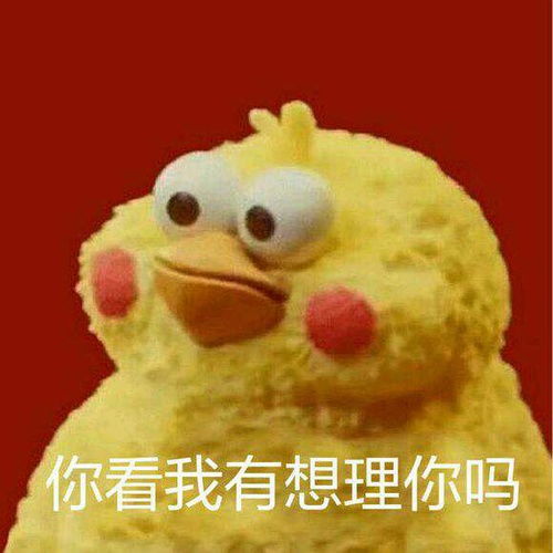 张远表情包鹦鹉兄弟