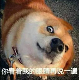  表情包的进化史,长草颜团子竟然是社恐
