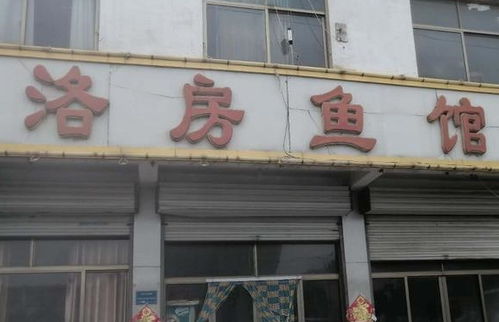  微山小伙伴大力推荐的知名鱼馆,微山人做鱼果然不一般