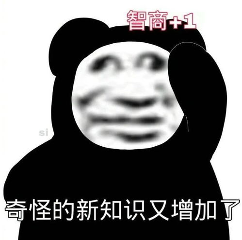  表情包沙雕熊猫头表情包第五弹