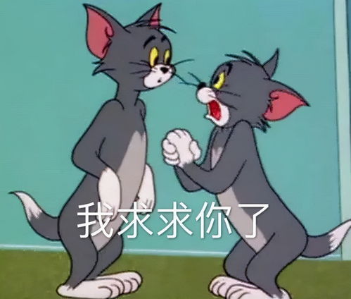  深扒月入15w的假减肥药贩子坑你钱还要身材羞辱你
