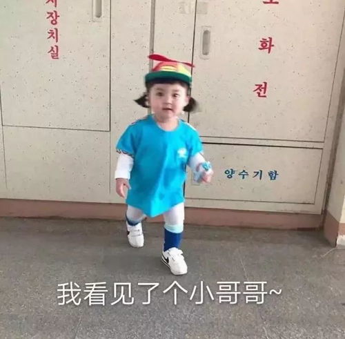  热门斗图表情包忘了他吧,我卖萌养你