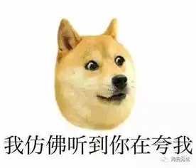 铲屎官与宠物的颜值的大比拼来比比呀 铲屎官与宠物的颜值的大比拼来比比呀