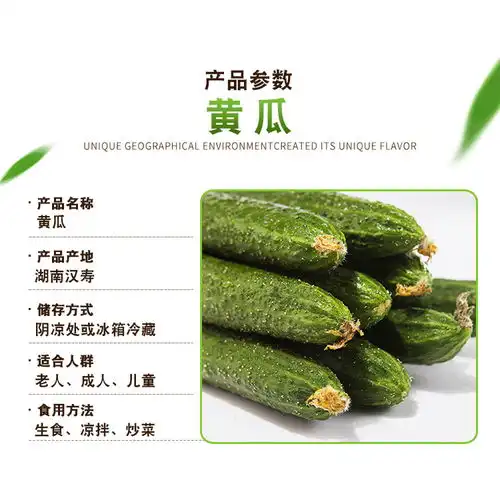 湖南汉寿新鲜黄瓜脆嫩带刺黄瓜5斤装偏远地区不包邮 湖南汉寿新鲜黄瓜脆嫩带刺黄瓜5斤装偏远地区不包邮