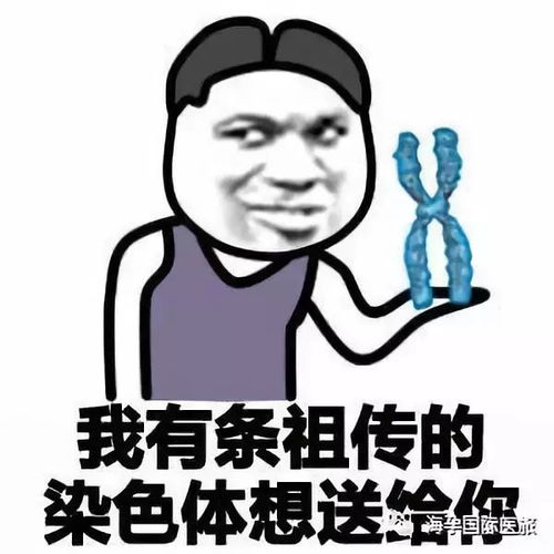  23对染色体独一无二的你,海孕带你一探究竟
