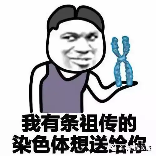 23对染色体独一无二的你,海孕带你一探究竟 23对染色体独一无二的你,海孕带你一探究竟