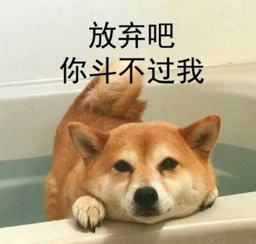  宝宝们,你们回家之后会擦手机吗