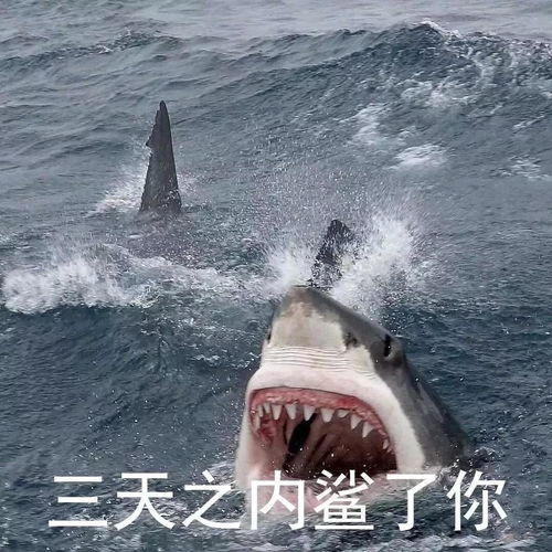  世上怎么会有比上学更有趣的事情呢你给我看.肆