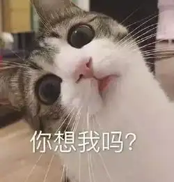 猫咪表情包天冷了,可以给个抱抱吗 猫咪表情包天冷了,可以给个抱抱吗