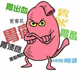  胃肠检查的重要性