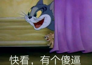 韩美娟表情包原图猫和老