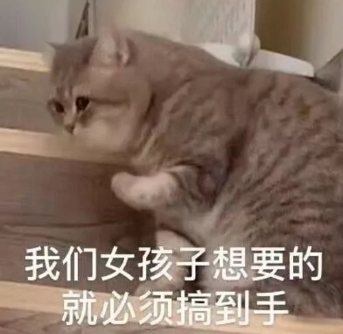  求关于写论文和搞学术的梗图